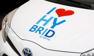 hybrid-428183_960_720